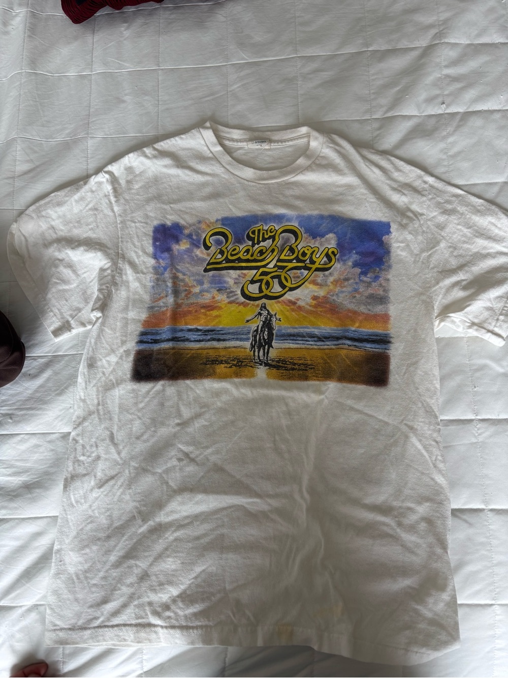The Beach Boys Vintage Tee